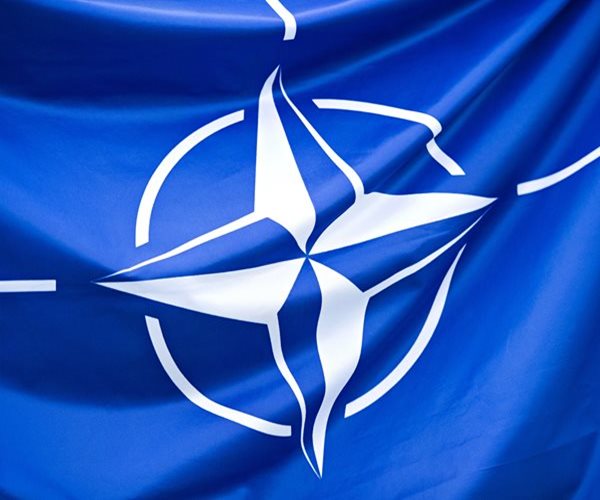 OpenAI Looking at Contract With NATO