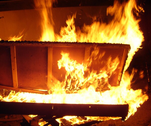 Bed Bugs Fire: 3 Injured After Woman Tries to Kill Insects