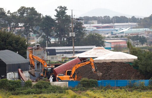 NKorea Seen as Weak Link in Swine Fever's Spread across Asia