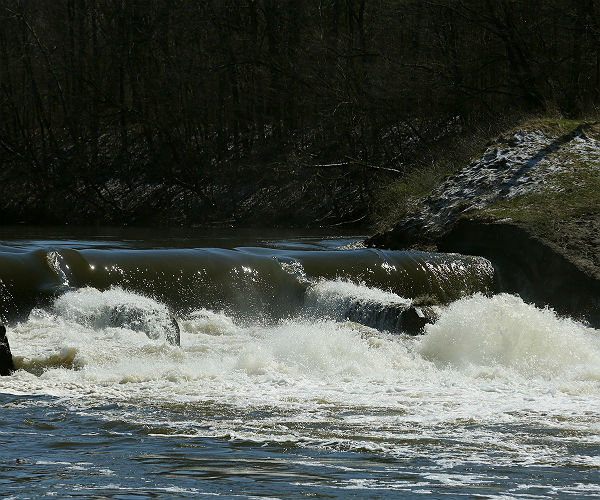 Study: Banned Chemical Pollutants Found in Deep Sea