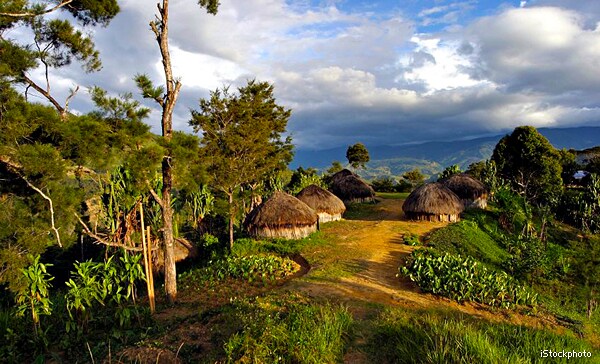 Papua Witch Hunts: Beheadings, Other Violence More Common