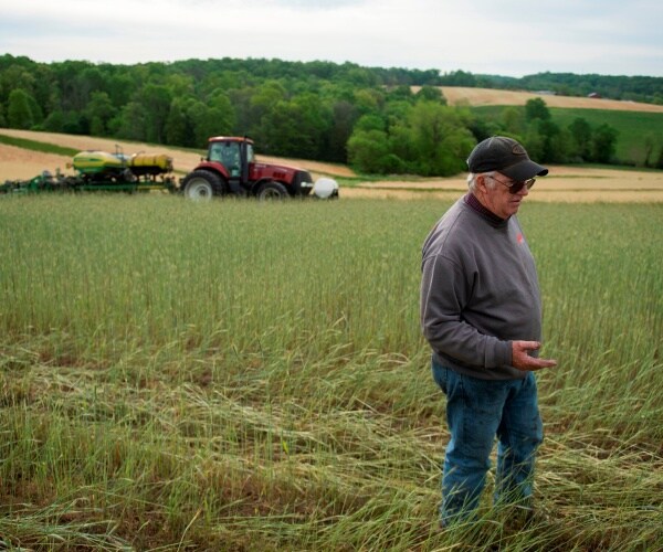 farmer in a gray sweatshirt and jeans stands in the middle of a field