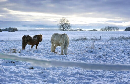 Avalanche Warnings, Power Cuts after Snowfall in Austria