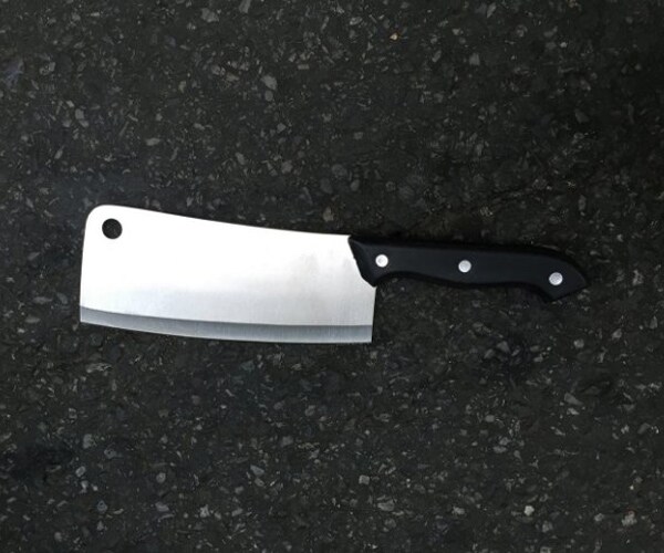 Meat-Cleavered NYPD Detective, 'Blind Rage' Suspect Hospitalized