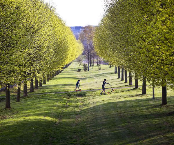 Humans Account for Little Next to Plants, Worms, Bugs