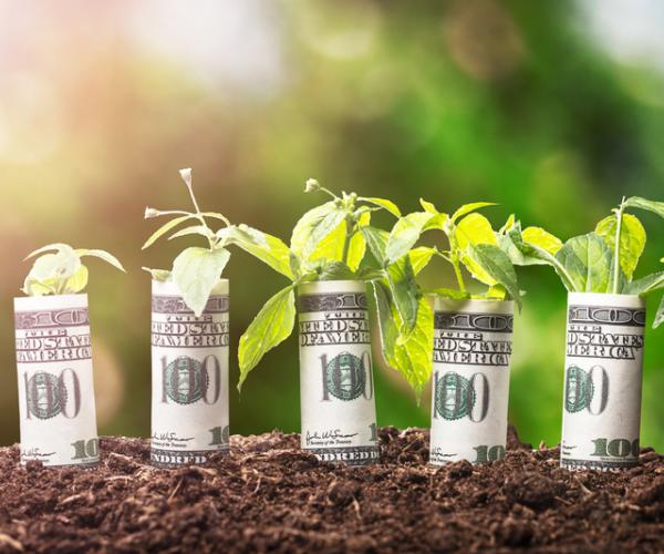 Rein in 'Green' Investing to Strengthen Retirement