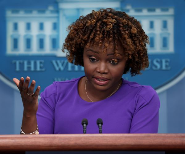 White House: No National Security Review of Elon Musk 