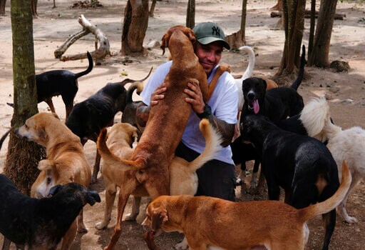 Man Shelters 300 Dogs from Hurricane Delta in Mexico Home