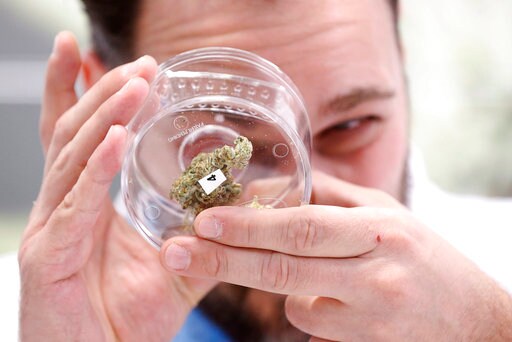 After Canada Legalizes Pot, Industry Eyes Rest of the World