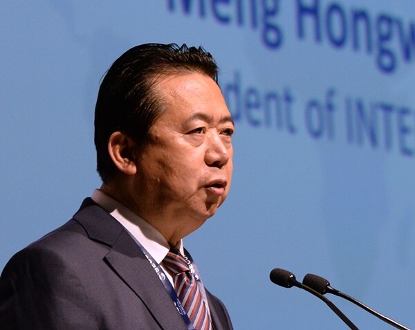 Meng Hongwei delivers a speech behind a podium mic in 2017