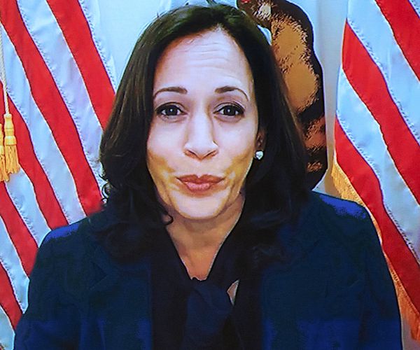 kamala harris appears virtually during the senate judiciary hearing monday