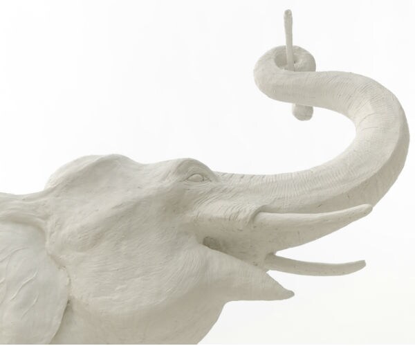 GOP Lacks Courage to Stand With Trump