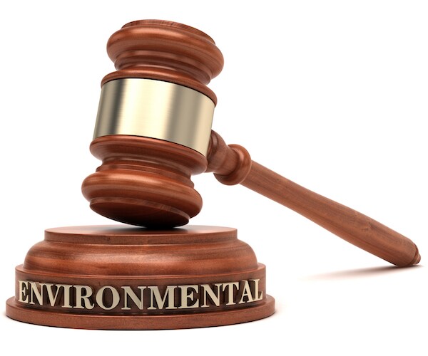 Children's Climate Change Lawsuit Allowed by Appeals Court 