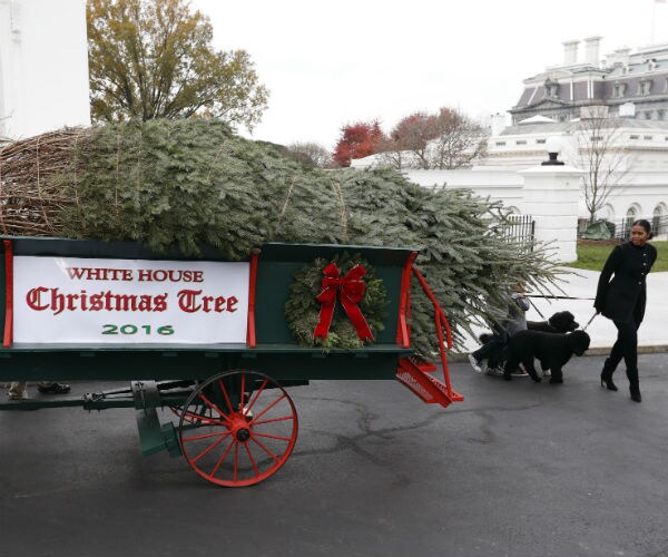 First Lady Kicks off Obamas' Final White House Christmas