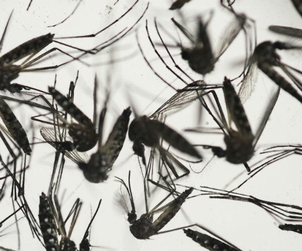 Trying to Get Jump on Zika Preparations with Money in Limbo