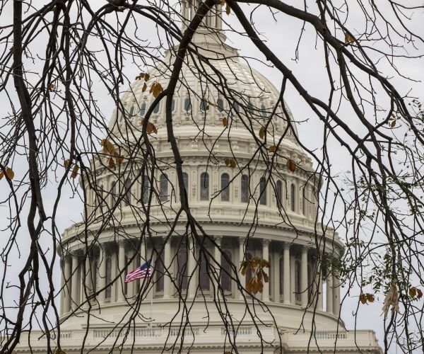 the capitol is framed amid bare tree branches in washington.
