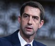 Sen. Tom Cotton: Laxalt Key to GOP Flipping Senate