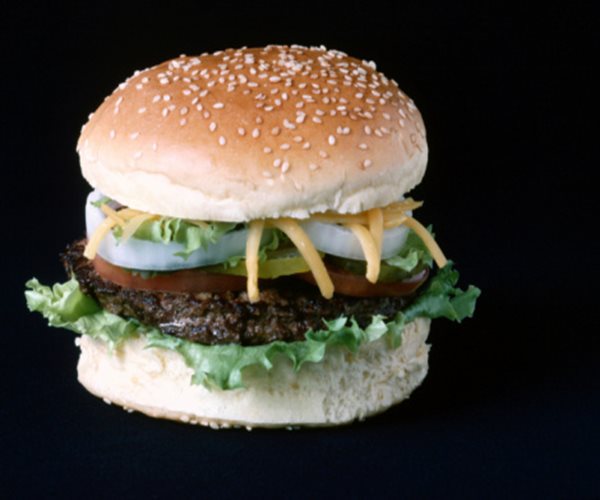 High-Fat Diets Harm Young Brains