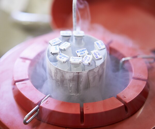 frozen samples at a sperm bank