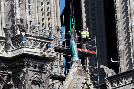 Drunk on Smoke: Notre Dame's Bees Survive Cathedral Blaze