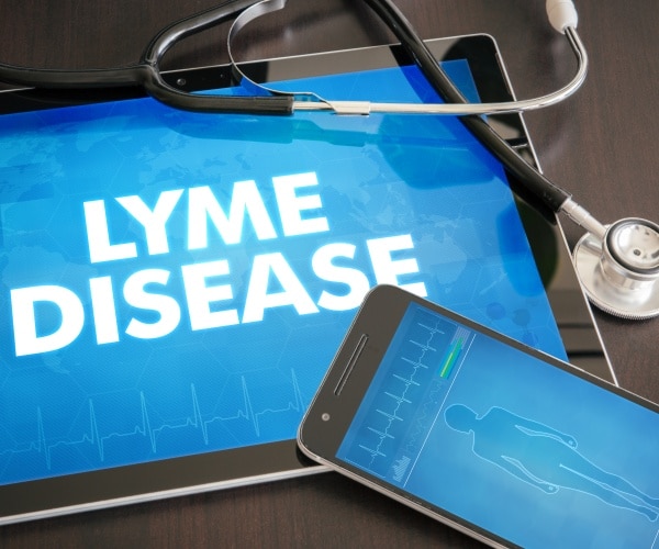 Lyme disease on tablet screen, body on smartphone screen