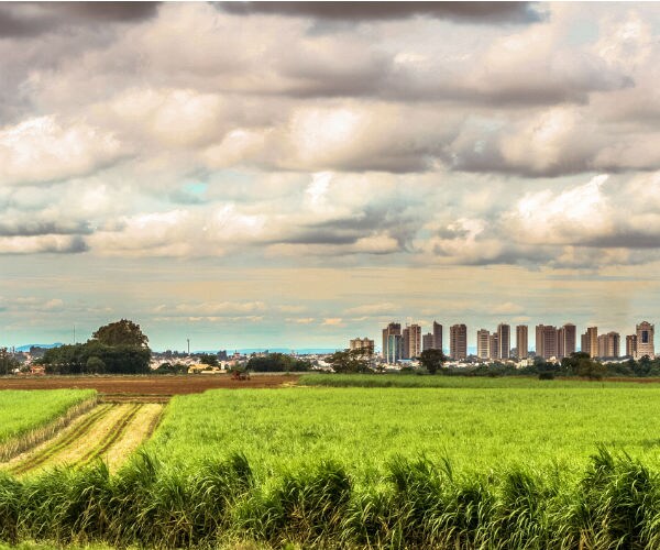 Thank Democrats for Frantic Flight from Our Great Cities