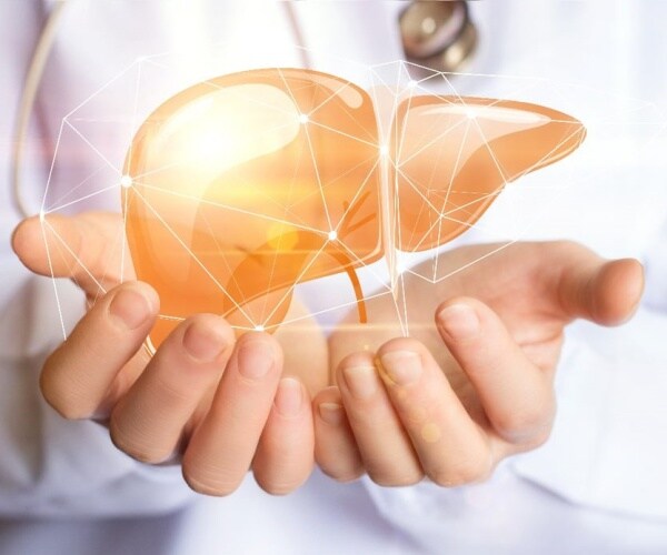 physician holding an illustration of a liver