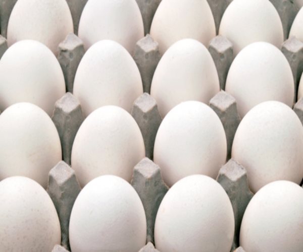 206 Million Eggs Recalled Over Salmonella Fears