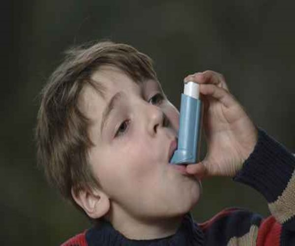 Gut Bacteria Linked to Asthma Risk