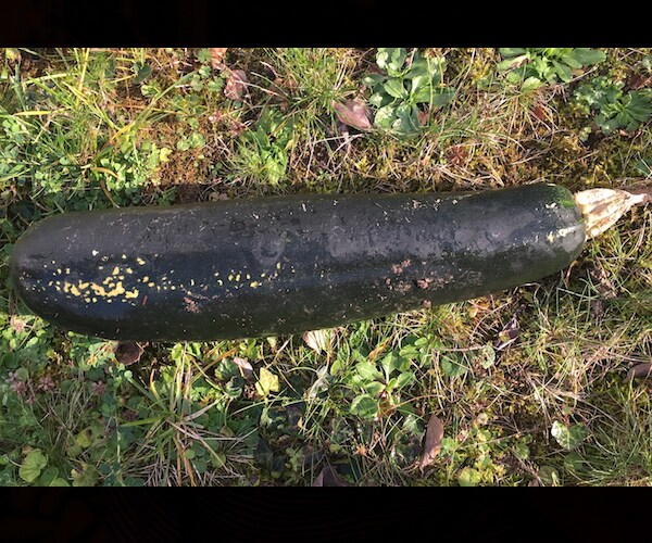 Zucchini Mistaken for Bomb in Germany