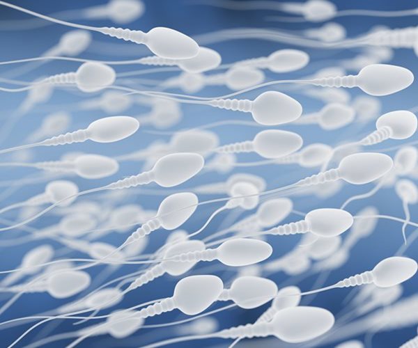 Smartphone Device Can Test Sperm Quality
