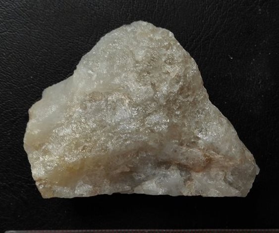 Chinese Find Suggests Human Relatives Left Africa Earlier