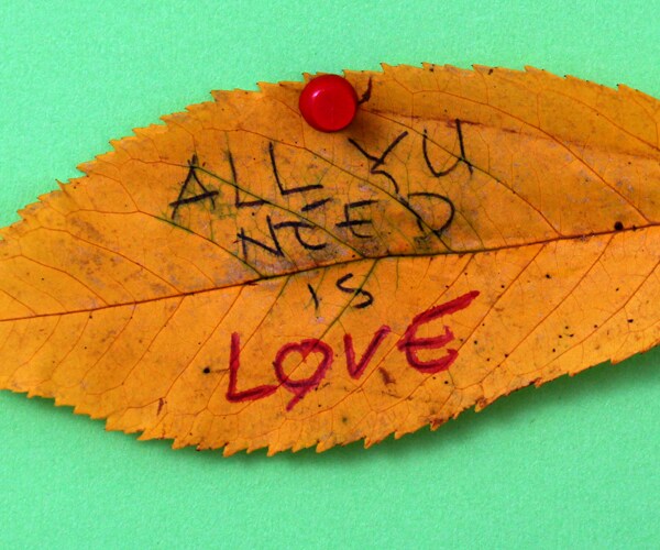 'Cupid 1,' Intercontinental Ballistic Love Missile, in Florida Yard Has a Big Red Button