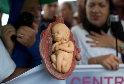 Brazil's Top Court Wrestles with Abortion During Hearings