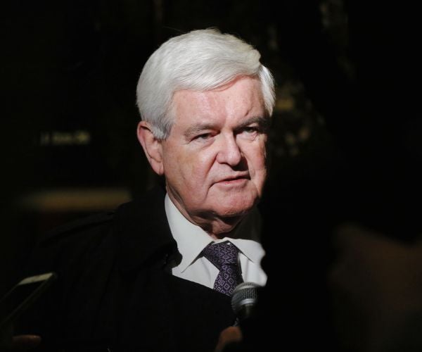 Newt Gingrich: Trump Is the 'Most Effective Uprooter of Liberalism'
