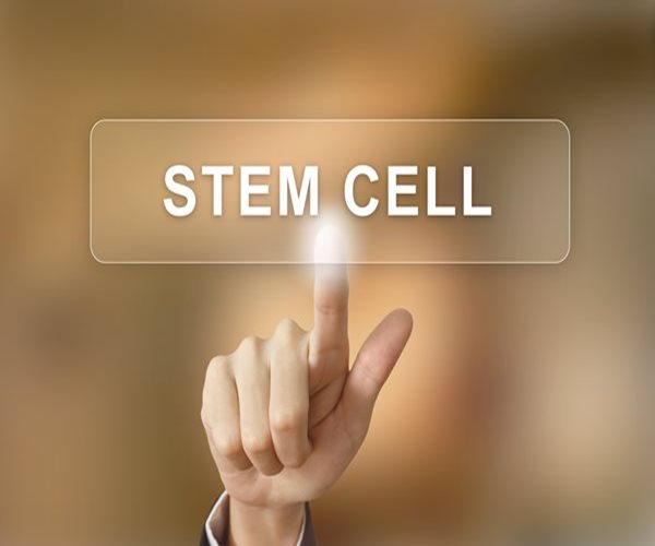 Could Newborn Stem Cells Rejuvenate Old Hearts?
