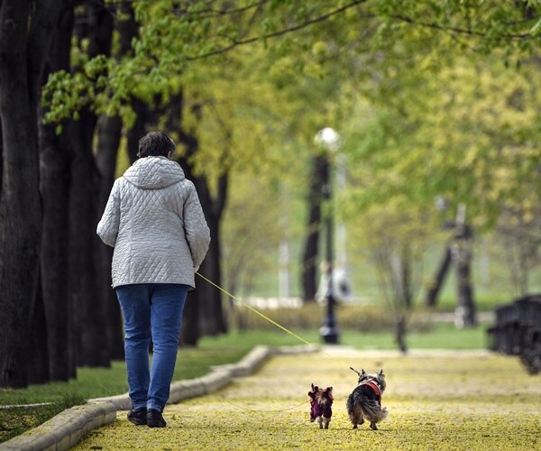 A woman walks her dogs in a park near Novodevichy Convent in Moscow on May 3, 2019.  