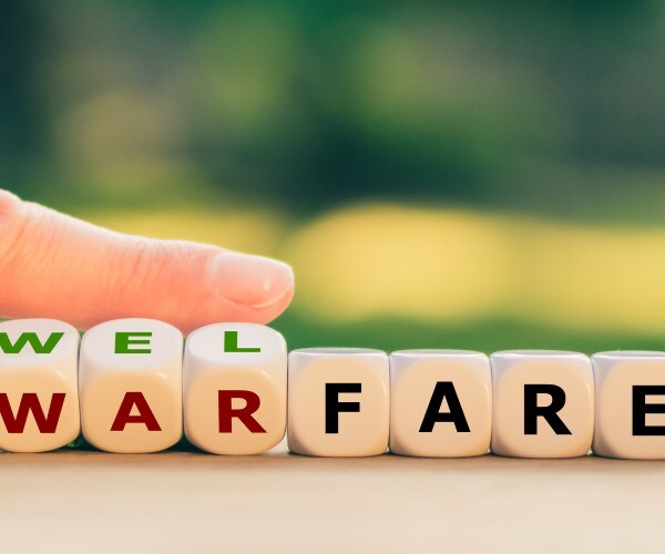 warfare state welfare state  