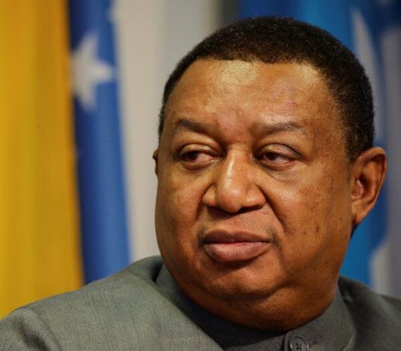 OPEC Chief: Venezuelan, Iranian Oil Could Ease Energy Crisis