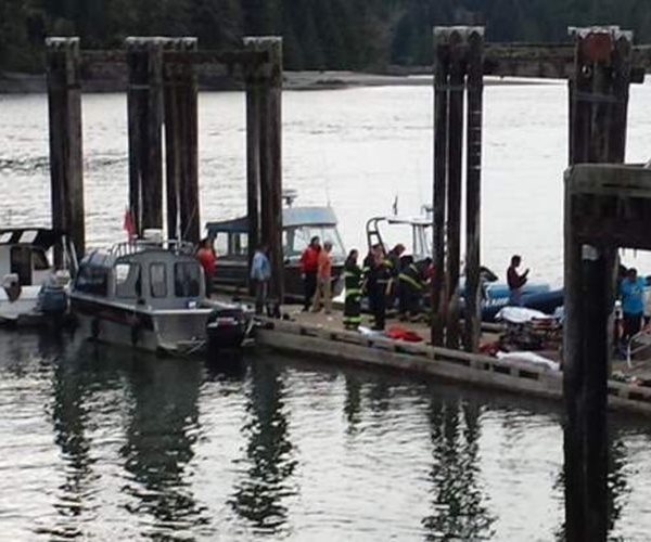 At Least 3 Dead After Canadian Whale-Watching Boat Sinks