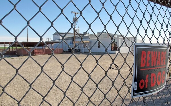 Horse Slaughterhouses Could Be Undermined by New Spending Bill