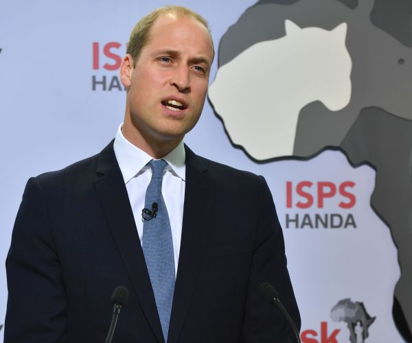 Prince William: Ivory Poaching Must Stop to Save African Elephants