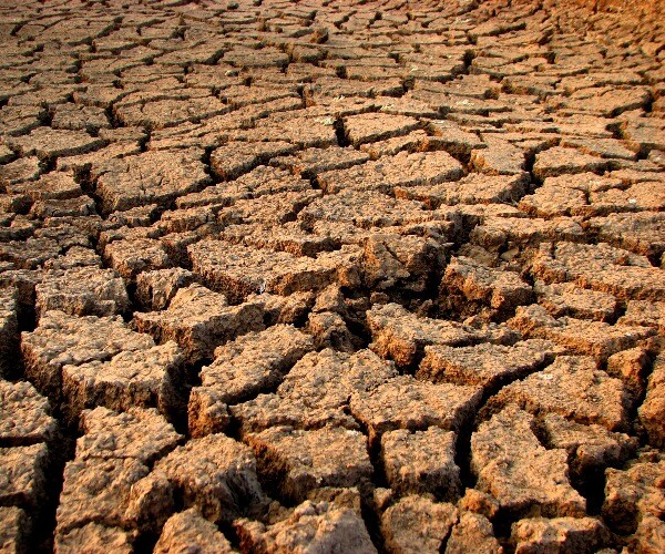 We Just Endured Hottest January on Record, US Scientists Say