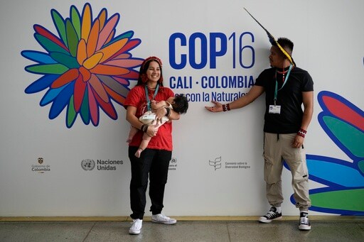 Delegates Agree to Establish Indigenous Subsidiary Body at COP16 Biodiversity Summit in Colombia