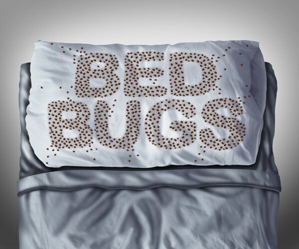 Top 10 Bedbug Cities in US
