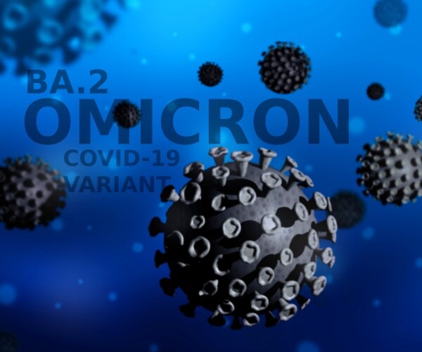 omicron subvariant BA.2