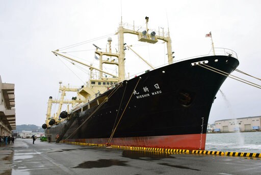 Japanese Fleet Returns from Antarctic Hunt with 333 Whales