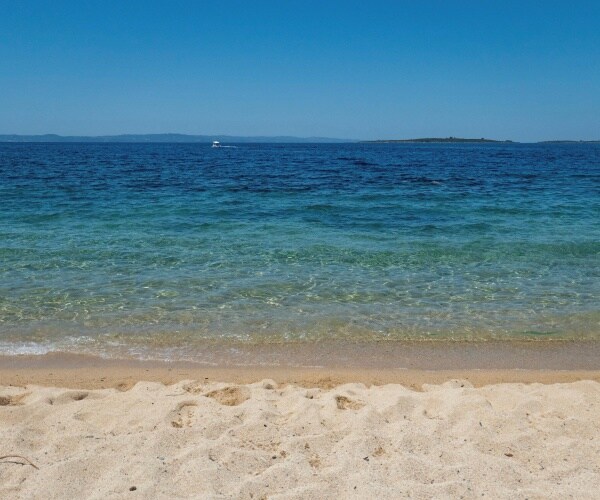 Sounds of Nature Are Healing, Not Just Soothing, Study Finds