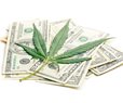 Moody's: Legal Marijuana Offers Small State-Tax Revenue Boost