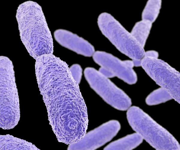 Houston Superbug Morphs Out of Common Hospital Infection